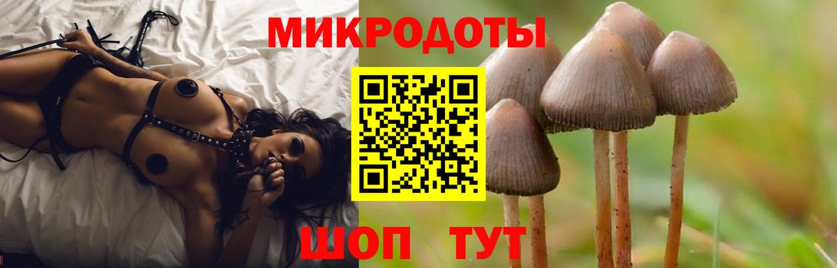 Усть-Джегута  Псилоцибиновые грибы ЛСД  Вход с VPN  Псилоцибиновые грибы GOLDEN TEACHER 